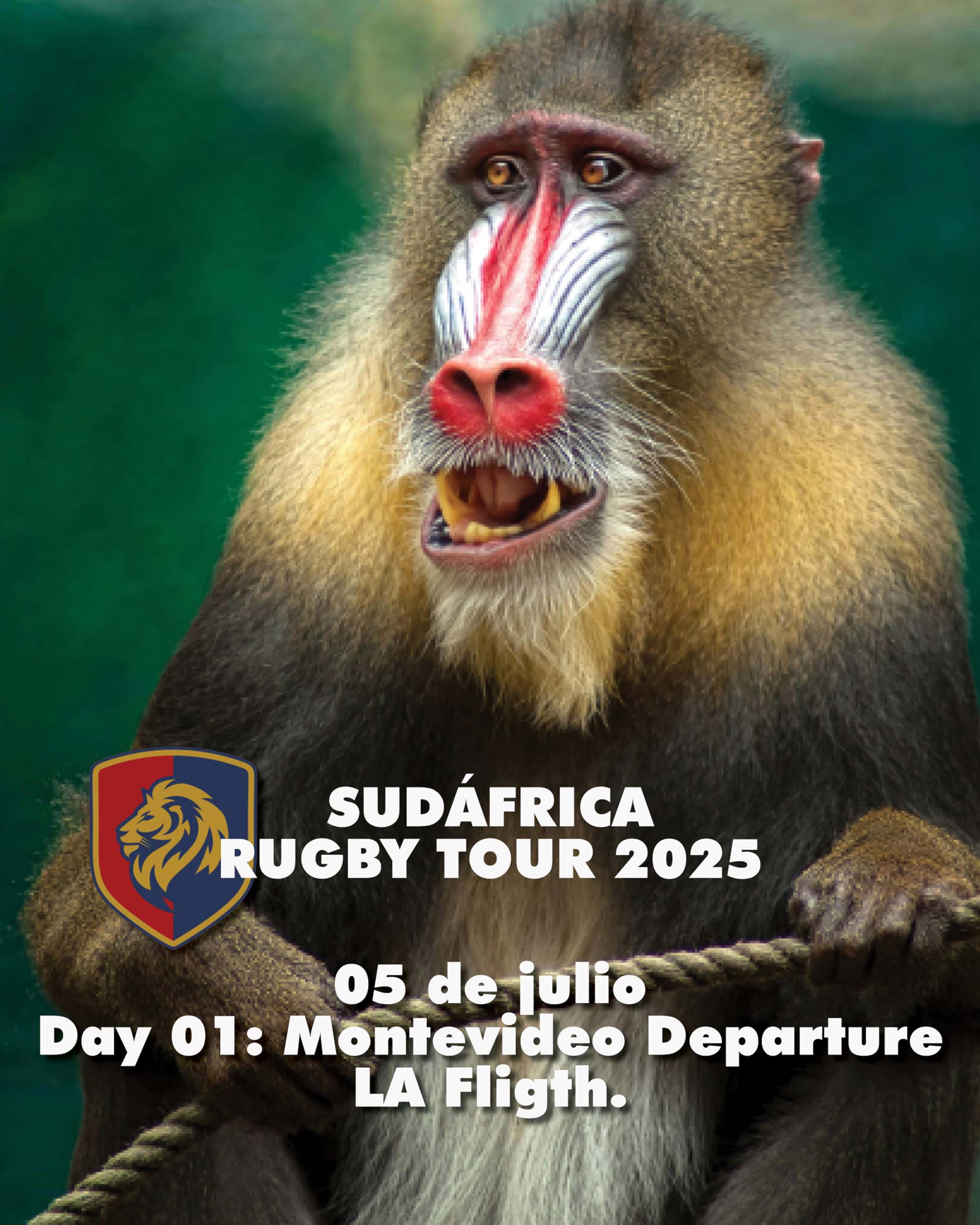 DESTINO SUDAFRICA WIDE 05