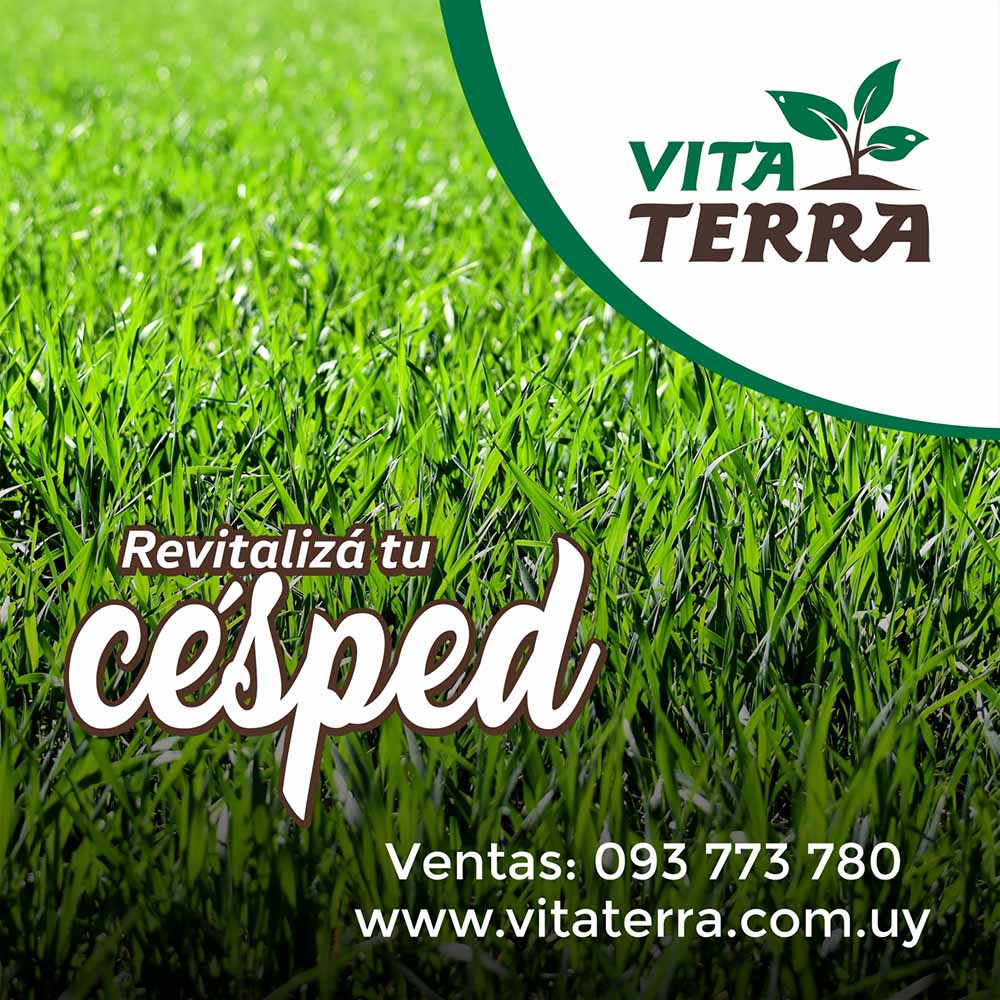 VITATERRA