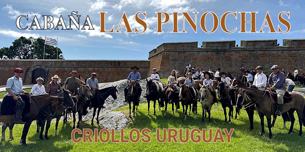 las pinochas_02